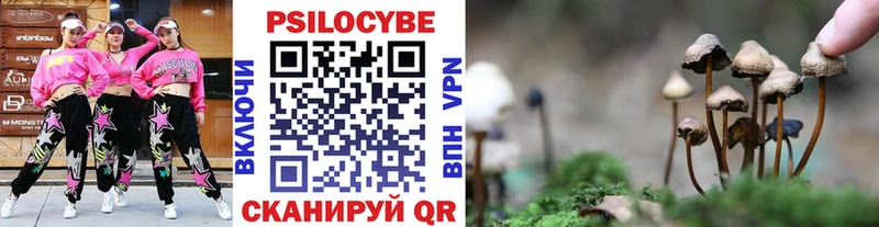 купить сайты mega сайт Псилоцибиновые грибы ЛСД Петровск